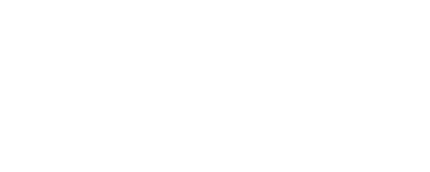 Special Needs Planning Simplified White